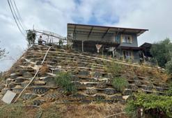 Atık lastiklerden bir dünya kurdu: Manisa'da çiçek ve sebzelere yuva oldu