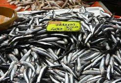 Balık severlere müjde: Ekimde bolluk bekleniyor, fiyatlar daha da düşecek