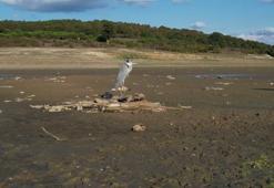 İstanbul'un barajlarında kritik tehlike: Doluluk oranı %28'e düştü!