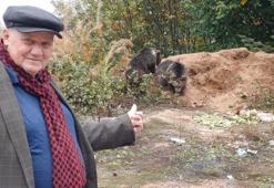 Kastamonu'da annesiz kalan yavru ayılar, yol kenarında vatandaşa sığındı!