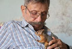 Yalnız adamın sadık dostu: Sincap Kibar