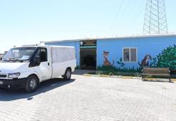 Şanlıurfa'da yeni başladı: Yüksek proteine dönüşüyor! Belediye kendi üretiyor