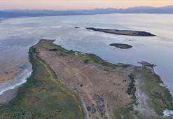 Konya'da böylesi ilk kez oluyor! Koca bir ada yok oldu: Karayla birleşince sayısı arttı