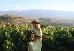 Türkiye’de nadir yetişiyor! İki asırlık bereketin fiyatı 75 lira