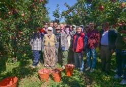 Burası Ege'nin elma deposu! Sezon bereketli, üreticinin yüzü gülüyor