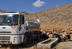Bitlis Hizan'da insani dokunuş: Susuz kalan hayvan sürülerine itfaiye ekipleri su taşıdı!