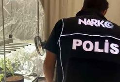 Yatak odasına sera kurup hint keneviri yetiştirdi, savunması ise pes dedirtti!