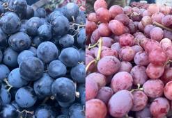 Dünyaca ünlü Alaşehir üzümleri Tavşanlı semt pazarında: Kilo fiyatı 50 TL ile 60 TL arasında değişiyor
