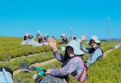 Atıl arazilerden milyonlar kazanacaklar! Çiftçilerin geliri bu ürünle katlanacak