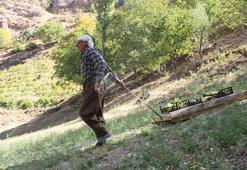 Hakkarili Süso amca yaşına aldırmadan her gün kızak çekiyor! 11 çocuğunu böyle okuttu