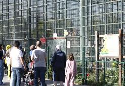 Giriş tamamen ücretsiz! Kayserililer akın etti