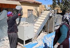 Müşterisi şimdiden hazır! Organik mahsullerin ekimi başladı: Raf ömürleri uzun, getirisi yüksek