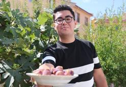 Konya'da yetişmesi zor bilinen inciri apartman bahçesinde yetiştirdi