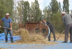 Sivas’ta tohumlar dededen, direniş torundan! Modern tarıma meydan okuyor