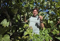 Van'da görev yapan doktor bir ilke imza attı! Bahçesinde yetiştirdiği meyveler görenleri şaşkına çeviriyor