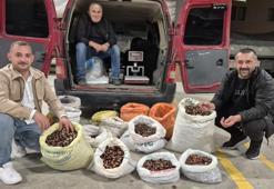 Tescilli lezzet hasattan sonra pazara indi! Kilogram fiyatı 200 liradan başlayıp 400 liraya kadar çıkıyor