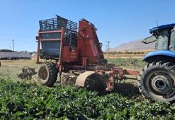 Türkiye'nin şeker ihtiyacı böyle karşılanıyor! Hasat ekim ayının sonuna kadar sürecek