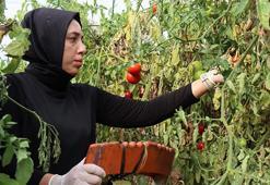 Erzincanlı kadın kendi işini kurdu ama çocukluk hevesinden de vazgeçmedi! Gündüz onu görenler akşam tanıyamıyor
