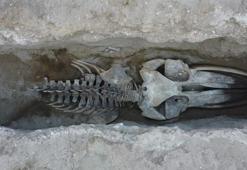 Mersin'de heyecanlandıran keşif! Toprağın altından çıkan dev iskelet şaşkına çevirdi