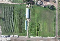 Atıl arazilerle hayatları değişti! Şimdi hem üretiyor hem de para kazanıyorlar