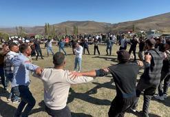 Ardahan'da festival eşliğinde hasat başladı! Meşhur ürün bölgeye bereket getirdi