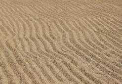 Beyaz altında hasat başladı! Rekolte düştü, talep patladı