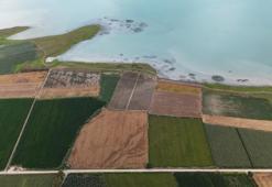 Adana alarm veriyor: Çukurova’da kuraklık şoku: İklim krizi ve betonlaşma kıskacında, acil önlem şart