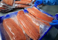 Türk somonunda hedef yüksek! 200 bin tonla gözler zirvede