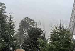 Lapa lapa kar yağışı başladı! Bolu hazırlıksız yakalandı, İstanbul'un yanı başında beyaz sürpriz
