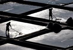 'Beyaz altın' Anadolu'nun kalbinden geliyor! Erzincan’ın dağlarından sofralara uzanan şifa kaynağı