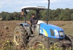 Bafra Ovası'nda hasat bitti ekim başladı! 100 bin dekarlık alanda kışa hazırlık için ilk adım atıldı