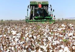 Şanlıurfalı çiftçiler dikkat! 22 maddelik genelge yayımlandı: Sıkı denetim ve cezalar yolda