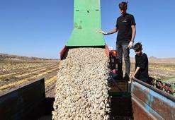 Nevşehir'de ekim alanı ikiye katlandı, patatesin tahtını salladı! Türkiye üretiminin yüzde 35'ini karşılıyor