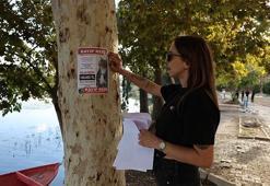 100 bin lira ödül! Adanalı genç kadın vazgeçmiyor, sokak sokak arayışını sürdürüyor