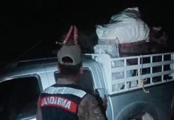 Tunceli'de doğa katliamına geçit yok! 200 kilo sarımsağın cezası yarım milyon TL oldu