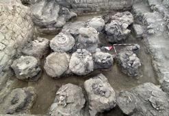 Karaman'ın köyünde keşfedildi! Bilim insanları görünce inanamadı, 5 tanesi yan yana bulundu