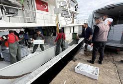 Kilosu 300 TL'den satılıyor! Kasa kasa geldi: Yüzler gülüyor