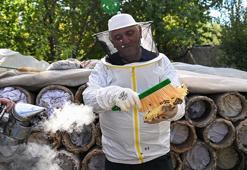 Giresunlu turistler Van'da arıcı oldu! Karakovan balı hasadına katıldılar