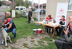 Düzce'de çalışmalar hız kesmeden devam ediyor! Son tarih 31 Aralık 2025