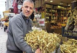 Şifa deposuna soğuk hava dopingi! Kilosu bin 500 liraya satılıyor