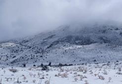 Konya’daki bir ilçe beyaza büründü! İşte bölgeden kar manzaraları