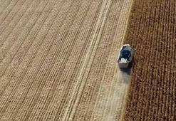 Konya'nın göbeğinde 50 bin liraya arazi! 200 adet satılıyor: İşte arsaların yerleri