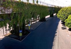 Adanalılar bu yola şaşırıyor: Zamanla sanat eserine dönüştü