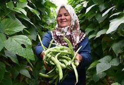İnhisarlı 60 yaşındaki kadın üretici fark yarattı! Telefondan sipariş yağıyor: Elektrikli kamyonetimle teslim ediyorum
