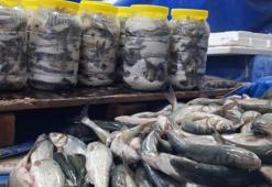 İnci kefali tezgahlarda! Kırmızı ete alternatif oldu: Kilogram fiyatı 120 TL