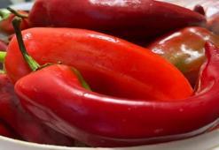 Menemen, fasulye, biber... Bayburtlu kadınlar kolları sıvadı! Buzluklar dolup taşıyor