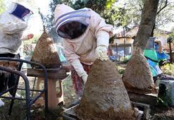 Kilosu 1750 lira! Kayınpederinden öğrendiği yöntemle üretiyor, herkes onun peşinde