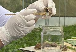 Pandemiyi fırsata çevirdi! Bulgaristan'dan getirtip Trabzon'da markasını kurdu! Şimdi dünyaya satıyor