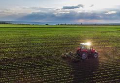 Adana'da yatırımcılar için kaçırılmayacak fırsat: 7 dönümlük verimli tarım arazisi satışa çıkıyor!