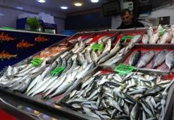 Denizlerin prensi 'lüfer' 900 liradan tezgahta